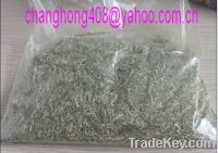 Green Alfalfa Meal /Powder with A Favorable Price