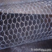 hexagonal wire mesh