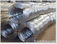 Galvanized Wire
