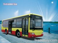 10.5M city bus