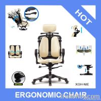 Ergonomic Chair