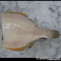 yellowfin sole