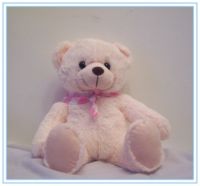 Teddy Bear Plush Toys