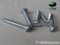 self-tapping screw