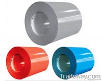 Prepainted steel coil