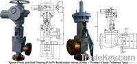 Multifunction Valves, Combination Valves, Multipurpose Valves