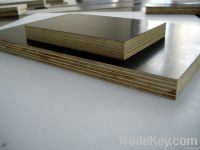 Film Faced Plywood For Construction
