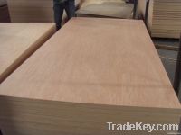 Okoume plywood with good price