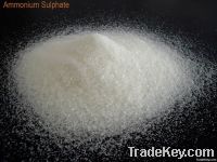 Ammonium sulphate 20.5% N