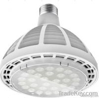 60W LED PAR38 Spotlight From China