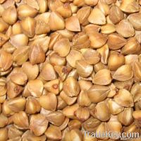 Roasted Buckwheat Kernel