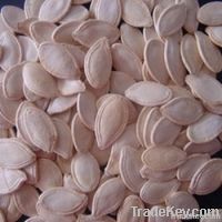 Shine Skin Pumpkin Seeds