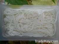 Konjac Noodle