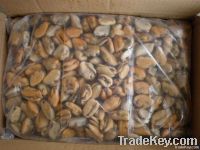Frozen Mussel Meat