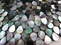 Black Shell/shell Beads Black Shell/shell Beads