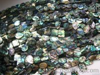 Abalone Shell Bead/paua Shell