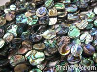 abalone shell bead/paua shell