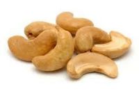 Cashew