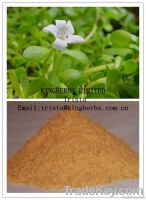 Bacopa Monnieri Extract