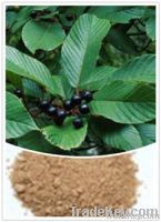 Cascara Sagrada Bark Extract