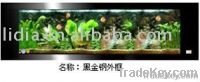 Wall aquarium