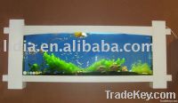 different kinds of wall aquarium