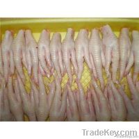 High Quality Processed Frozen Chicken Feet