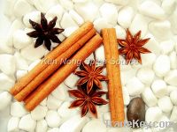 cassia stick