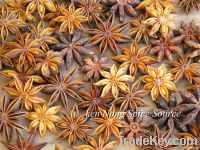 star aniseed