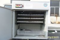 2012 new model best quality chicken egg incubator YZTIE-8 CE passed