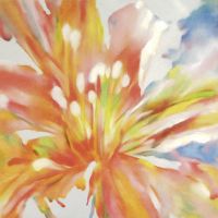 oil painting   still life & flower