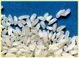 Vietnam Rice For Sell