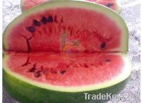 Egyptian Fresh Water Melons