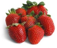 Egyptian Fresh Fortuna Strawberry 