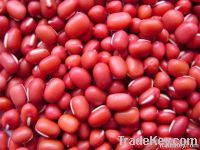 New Crop Chinese High Quality Non GMO Small Red Beans