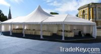 Mixed Party Tent