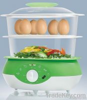 food steamer