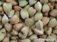 Chinese Buckwheat Kernels