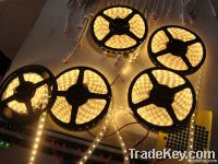 LED Flexible Strip Light