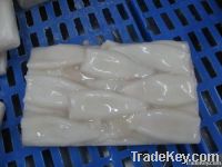 Frozen Squid Tube