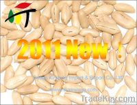 2011 China peanut