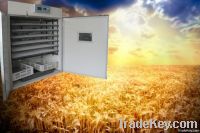 Favorable Priced Poultry Egg Incubator(CE approved)