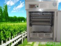 CE Compliant High Quality Egg Incubator