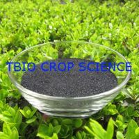 Potassium Humate