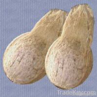 Fresh coconut