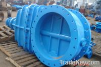 Rising stem gate valve