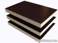 Film Faced Plywood