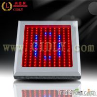 LED grow light 150W