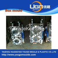 Plastic Injection Mould