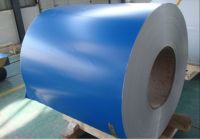 Aluminium color coil/ Aluminium coated coil